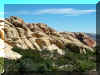 redrockcyn10.jpg (154057 bytes)