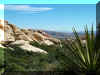 redrockcyn11.jpg (155948 bytes)