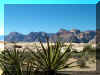 redrockcyn2.jpg (143355 bytes)