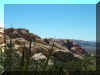 redrockcyn7.jpg (108874 bytes)