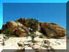 redrockcyn8.jpg (132281 bytes)